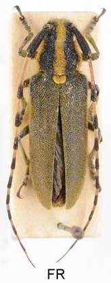 EAA_8601  intern..jpg